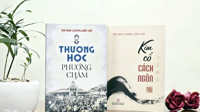 Die anhaltende Vitalität der Veröffentlichungen von On Nhu Luong Van Can