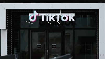 TikTok ABD'de 'kendini pazarlıyor': bundan kim fayda sağlıyor?