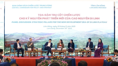 A strategic pillar for the new era of development of the Di Linh Plateau.