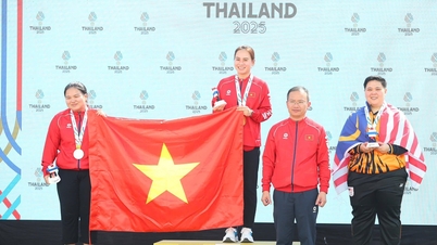 제31회 동남아시아 경기대회(SEA Games)에서 베트남 선수단이 받은 상금은 약 310억 VND에 달합니다. 누가 가장 많은 상금을 받았을까요?