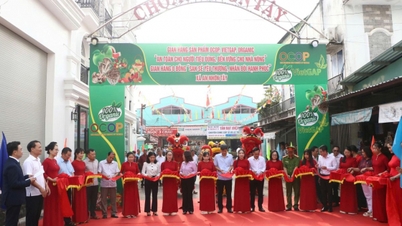 ការបើកស្តង់តាំងបង្ហាញផលិតផលកសិកម្មដែលបំពេញតាមស្តង់ដារ OCOP, VietGAP និង Organic។