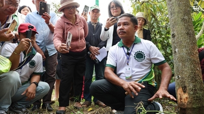 Gemeente Ea Knuếc: Uitwisseling met experts en boeren uit Thailand over duurzame teeltmethoden voor durian.
