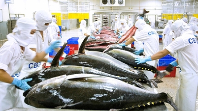 Regulile de origine determină avantajul competitiv al fructelor de mare vietnameze în Europa.
