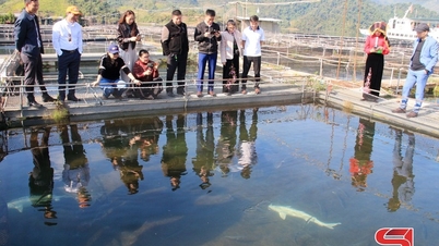 Linking together for sustainable tourism development.