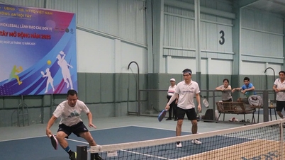 Kejohanan Pickleball yang Menarik di Wad An Hoi Tay, 2025