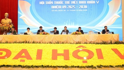 សមាជលើកទី ៥ នៃសមាគមគ្រូពេទ្យវ័យក្មេងវៀតណាម៖ ការកំណត់តួនាទីរបស់អ្នកជំនាញវេជ្ជសាស្ត្រវ័យក្មេងក្នុងយុគសម័យឌីជីថល