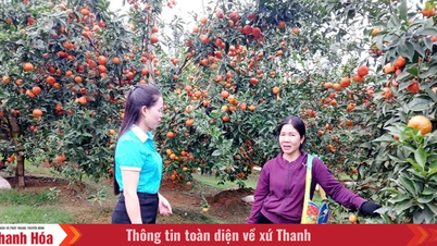 Phụ nữ Điền Lư giúp nhau phát triển kinh tế, giảm nghèo