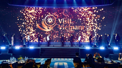 Platform data Visit Vietnam – sebuah dorongan bagi industri pariwisata di era digital.