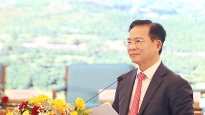 Lam Dong province focuses on four pillars for sustainable development of the Di Linh Plateau.