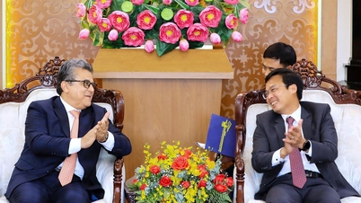 Lam Dong province hosts international delegations in celebration of the Southeast Asian Gong Festival.