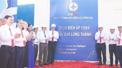 EVNSPC: Many power projects commenced and inaugurated to celebrate the 14th National Party Congress.