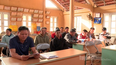 Nâng cao kỹ thuật trồng cây bí xanh thơm