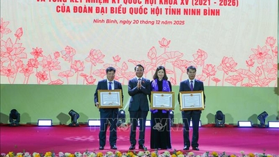 A Ninh Binh tartományi nemzetgyűlési küldöttség minőségének megújítása és fejlesztése.