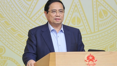 Prime Minister: Studying mechanisms to enable outstanding entrepreneurs to participate in national governance.