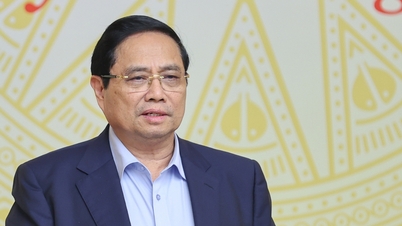Thủ tướng yêu cầu nghiên cứu xây dựng Luật Kinh doanh cá thể