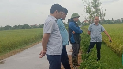 তথ্য বাক তিয়েন হাং-এর কৃষকদের তাদের ক্ষেতকে বাজারের সাথে সংযুক্ত করতে সাহায্য করে।