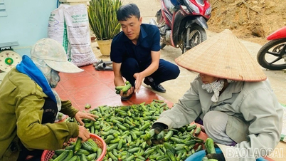 Persatuan Peladang menyokong penubuhan 431 kumpulan koperasi dan 104 koperasi pertanian.