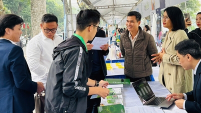 CheckNow が National Startup Finals で 3 位を獲得。
