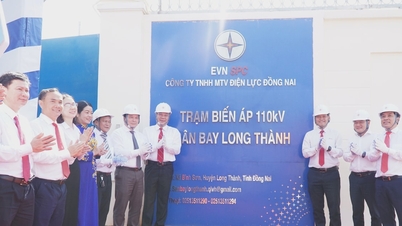 EVNSPC zahajuje a slavnostně spouští řadu projektů k oslavě 14. národního sjezdu Komunistické strany Vietnamu.