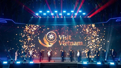 Visit Vietnam បានដាក់ឱ្យដំណើរការវេទិកាទិន្នន័យជាតិរបស់ខ្លួន។