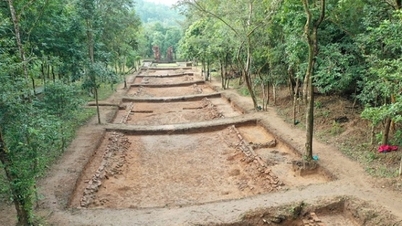 ផ្លូវពិសិដ្ឋមួយត្រូវបានរកឃើញនៅក្នុងតំបន់បេតិកភណ្ឌពិភពលោកមីសឺន។