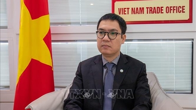 ទីប្រឹក្សា ឡេ ថាយហ្វា៖ VIFTA គឺជាកម្លាំងចលករថ្មីសម្រាប់ពាណិជ្ជកម្មវៀតណាម-អ៊ីស្រាអែល។