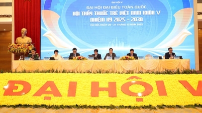 Dr. Ha Anh Duc je prezidentem ústředního výboru Vietnamské asociace mladých lékařů.