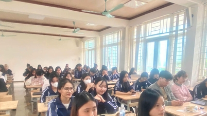 উচ্চমানের মানবসম্পদ প্রশিক্ষণ কৌশল: সোনালী জনসংখ্যার 'ধন উন্মোচন'।