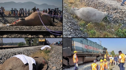 India: High-speed train crashes into and kills 7 wild elephants, derailing 5 carriages.