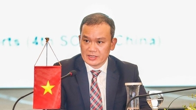 Șeful delegației sportive vietnameze la cea de-a 33-a ediție a Jocurilor SEA, Nguyen Hong Minh: