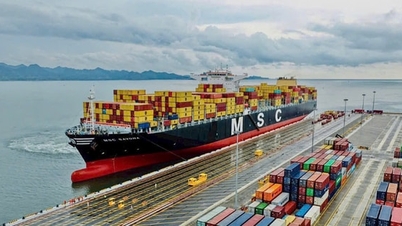 Acordul de liber schimb Vietnam-Israel: