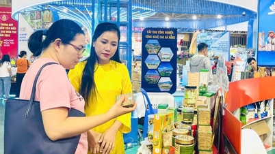 សហគមន៍អាជីវកម្មចាប់ដៃគ្នា។