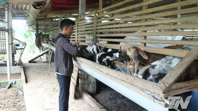 Hỗ trợ sinh kế, bền bỉ xóa nghèo ở Định Hóa