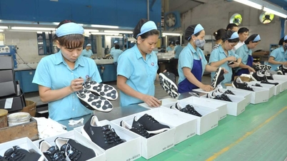 Businesses should strengthen their internal capabilities and take advantage of Certificates of Origin (C/O) benefits from FTAs.