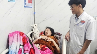 203 cases of food poisoning from bread in Quang Ngai were due to contaminated sausage and vegetables.