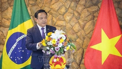វៀតណាមត្រូវបានគេរំពឹងថានឹងសម្រេចបាននូវសមិទ្ធផលការទូតលេចធ្លោជាច្រើននៅអាមេរិកឡាទីននៅឆ្នាំ ២០២៥។