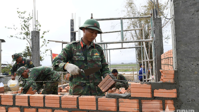 Quang Ngai İl Askeri Komutanlığı, selden etkilenen bölgelerdeki insanlara yardım etmek için hızla evler inşa ediyor.
