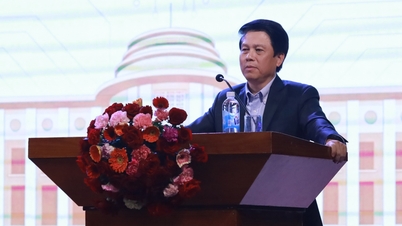 تقديم التدريب على مكافحة غسل الأموال وتكنولوجيا المعلومات والتحول الرقمي للمسؤولين المحتملين على مستوى الإدارات.
