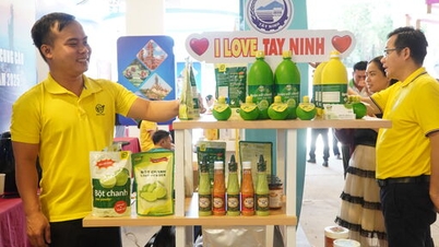 การเชื่อมโยงอุปสงค์และอุปทานสำหรับ OCOP 2025: จังหวัดเตย์นิงขยายสาขาและเพิ่มการบริโภค