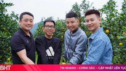 Dengan pelbagai saluran untuk promosi dan penggunaan, keistimewaan oren Ha Tinh mengukuhkan kedudukannya.