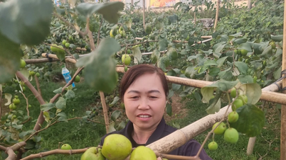 Le sourire des agriculteurs est un indicateur de l'efficacité d'une réduction durable de la pauvreté.