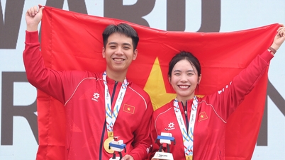 Jadual pingat mengikut sukan untuk delegasi Vietnam di Sukan SEA ke-33.