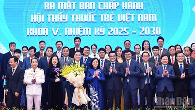 វេជ្ជបណ្ឌិតវ័យក្មេងមានគោលបំណងផ្តល់ការពិនិត្យសុខភាព និងពិគ្រោះយោបល់ដោយឥតគិតថ្លៃដល់មនុស្ស ៦ លាននាក់។