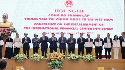 Ho Chi Minh City and Da Nang are ready to operate an international financial center.