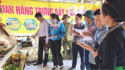 ពិព័រណ៍ឌីជីថល រួមផ្សំជាមួយផ្សាររាត្រី ផ្សព្វផ្សាយផលិតផលពិសេសរបស់ឃុំទៀនអៀន។