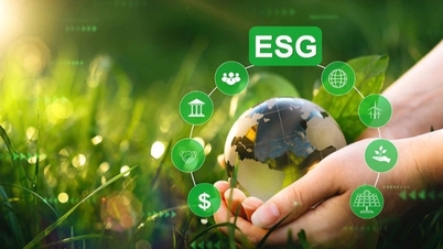 ESG: „Zielona eliminacja” i wyścig o przetrwanie wietnamskich firm