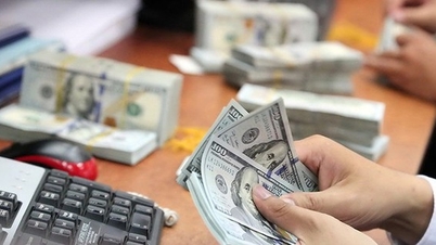 国際金融センターにおける外国為替管理に関する規制