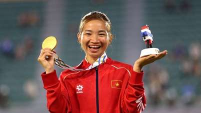 Bảng vàng thành tích của đoàn thể thao Việt Nam tại SEA Games 33
