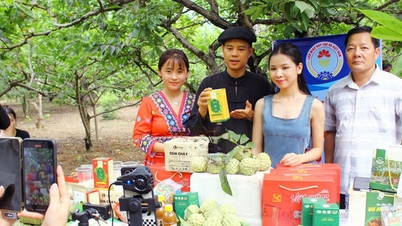 Thai Nguyen, tarım sektöründe dijital dönüşümü hızlandırıyor.