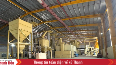 Tan Thanh leverages the advantages of its production forests to develop the processing industry.